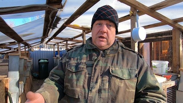 сколько живут кролики на мясо 100 или 365 смотреть онлайн