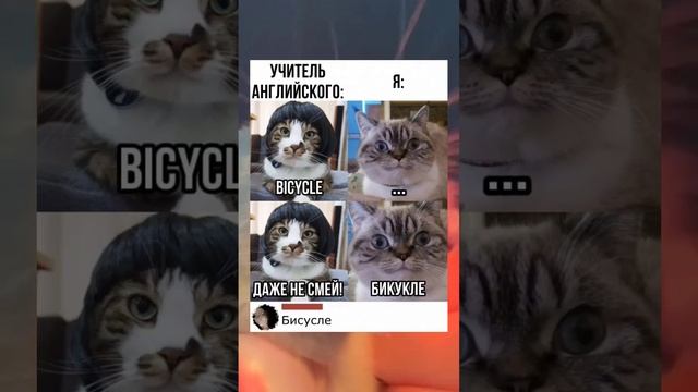 #short #shorts #мем #мемы #прикол #юмор #funny (28) смотреть онлайн