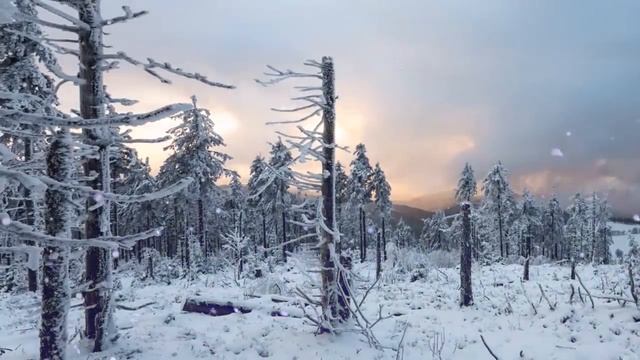 Стрела избавления | Рождественская песня смотреть онлайн