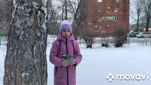 «Знакомьтесь: Синичка» смотреть онлайн