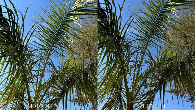 Motorola Defy 2 Vs iPhone 14 Camera Test Comparison смотреть онлайн