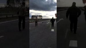 Поразительно! В Беларуси аист сопроводил Крестный ход