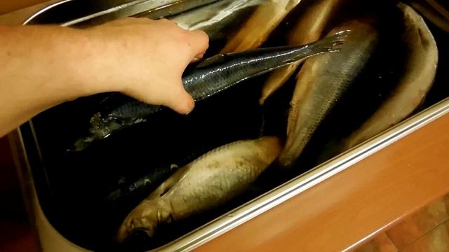 Готовка на Пикнике и Отдых на Природе