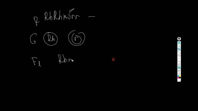Как рисовать на экране смотреть онлайн