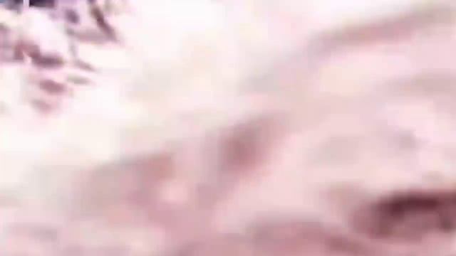 ТОП 10 НАПАДЕНИЙ АКУЛ НА ЛЮДЕЙ. смотреть онлайн