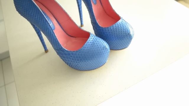 Y.S. Blue Heels смотреть онлайн