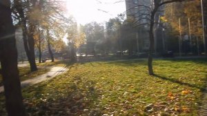 Сквер имени Судакова | осень Москвы