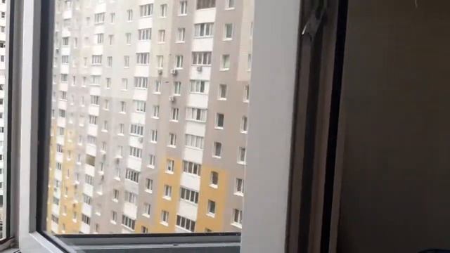 Отзыв 2: Солнцезащитная пленка "armolan" и "комфортный дом" смотреть онлайн
