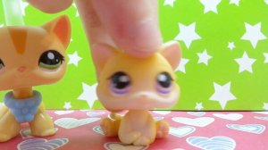 Распаковка Lps: Прошу прощения у канала Elen & Pet shops