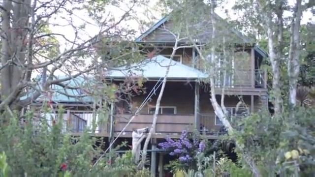 Old git chainsawing a dead tree смотреть онлайн