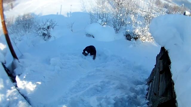 Турбаза белая корона красноярский край, уборка снега, падение с крыши, манекен челендж, смотреть онлайн