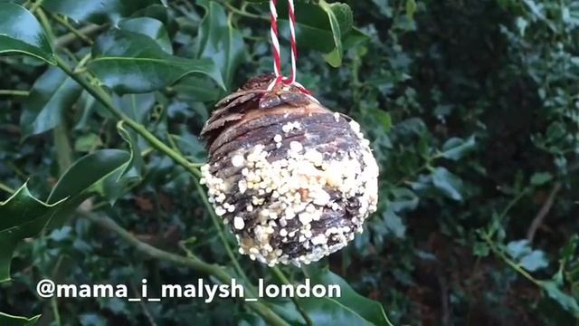 Натуральные кормушки для птиц. « Мама и малыш» Лондон смотреть онлайн