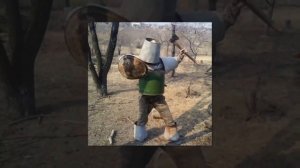 Кусаригама: страшный сон самурая