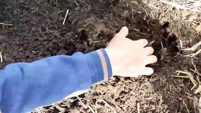 БИОГОМУС БИЗНЕС. BIOGOMUS BIZNES смотреть онлайн