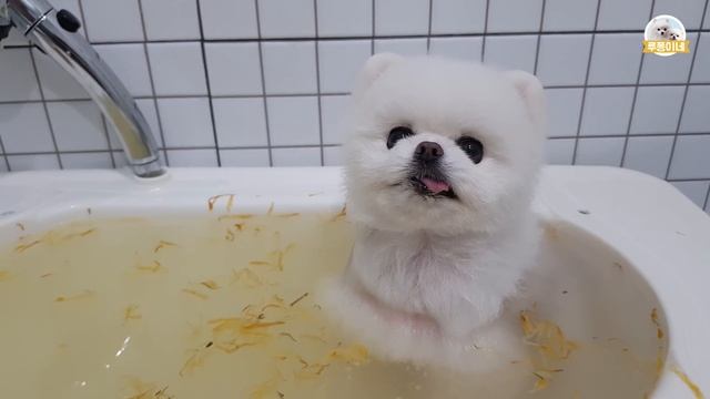 Рецепты пирогов из детства