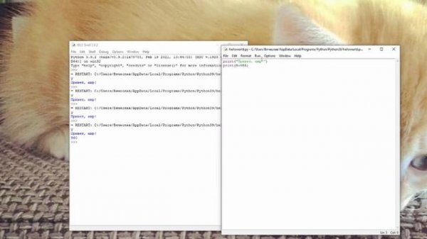 Python для начинающих. Python с нуля. Hello world на Python / IDLE обзор и настройка