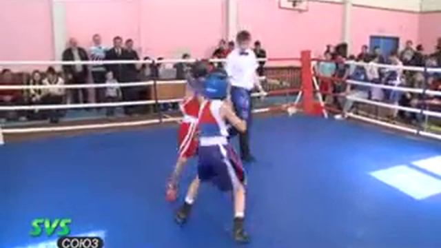 Турнир по боксу за призы ОМВД [2015/05/19] смотреть онлайн
