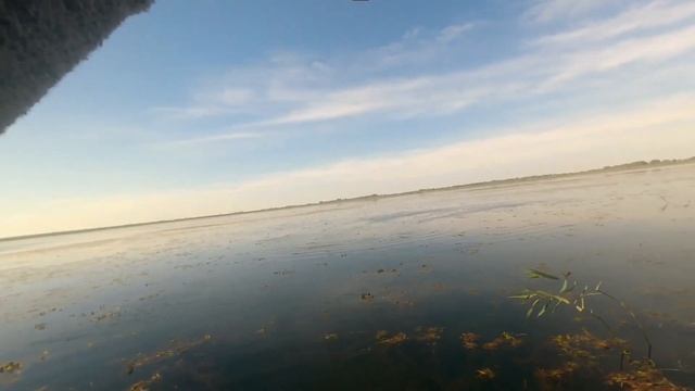 Лучшие моменты с нескольких рыбалок!!!Река Кубань, Шапсугское водохранилище, Черный ерик. смотреть онлайн