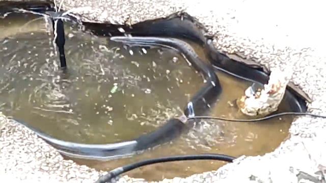 Фонтан у МЦ МИРТ смотреть онлайн