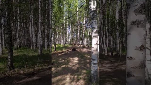 Кросс-тинкер Даная. Поскакушки) смотреть онлайн