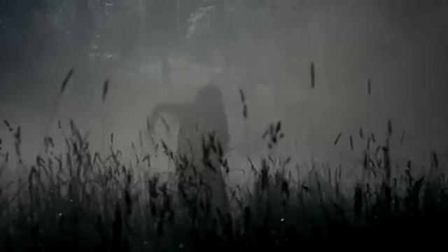 Loreen - Euphoria [OFFICIAL] смотреть онлайн