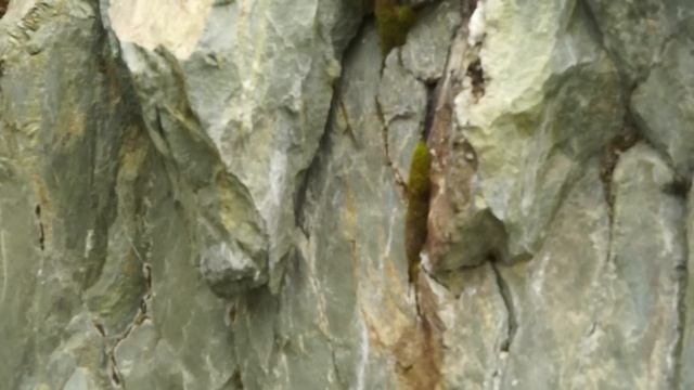 ГОРНЫЙ АЛТАЙ, КАМЕННАЯ ДВЕРЬ, СЕМИНСКИЙ ПЕРЕВАЛ, ЧУЙСКИЙ ТРАКТ смотреть онлайн