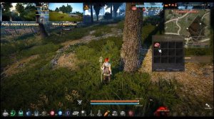 BDO BlackDesert Как приготовить хороший корм для питомцев