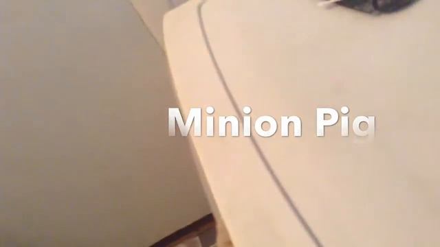 The Piggies Movie Back To School (2015) HD смотреть онлайн