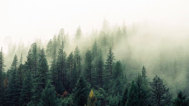 Ray Jung. U N I Poem