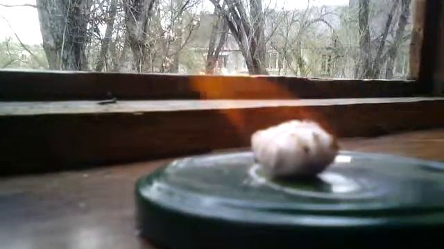 Fire(ч 2) смотреть онлайн