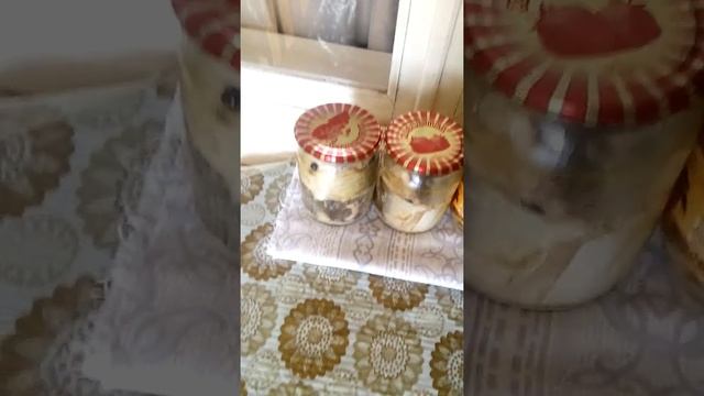 домашняя консерва из рыбы севанский сиг смотреть онлайн