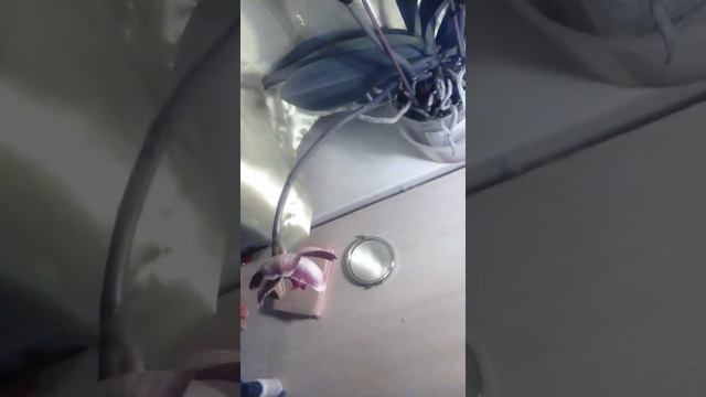 Орхидея смотреть онлайн