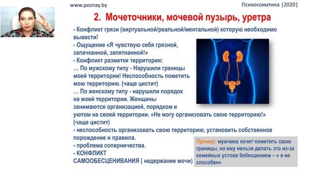 Вторая встреча 1 часть Мочевыделительная.mp4 смотреть онлайн