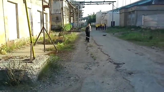 Утки защищают своих утят) Забавные животные utki s potomstvom смотреть онлайн