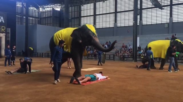 Воспоминание о Тайланде! Паттайя ? Сады мадам Нонг Нуч?   Nong Nooch Tropical Botanical Garden?