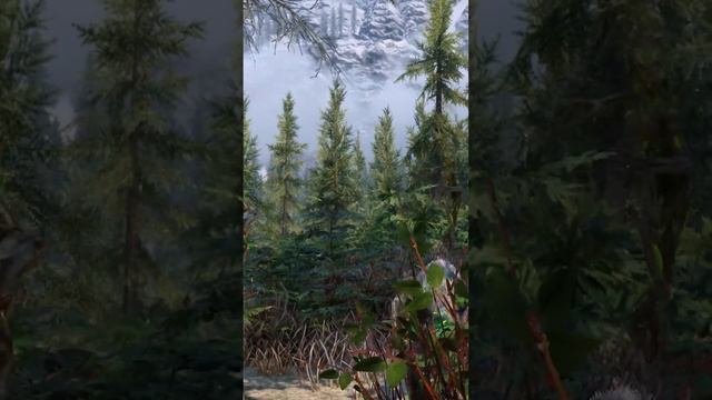 Wood Elves are secretly MONSTERS? смотреть онлайн