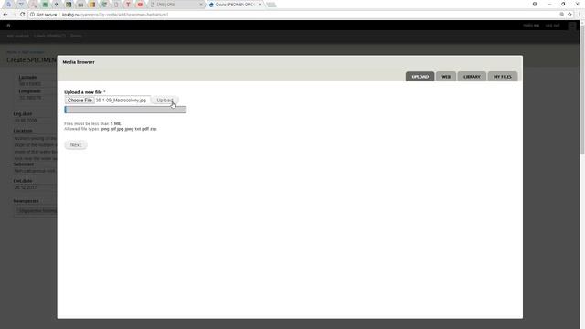 CRIS - tutorial1 смотреть онлайн