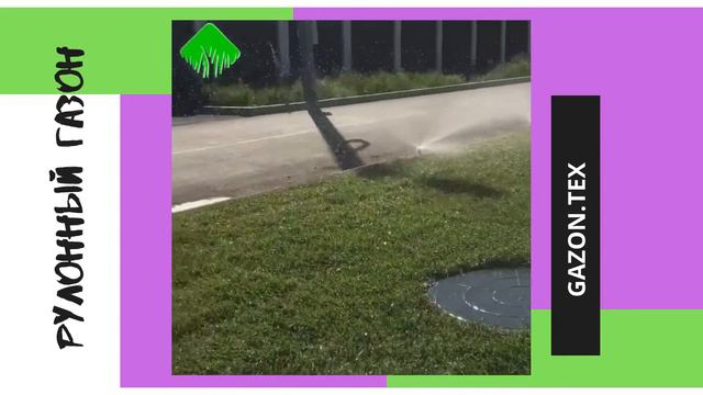 РУЛОННЫЙ ГАЗОН смотреть онлайн