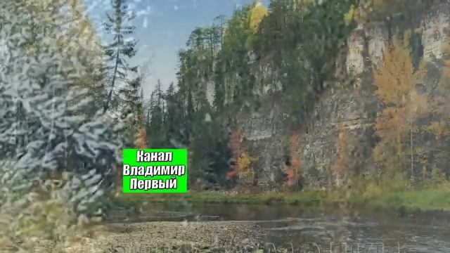 дщл смотреть онлайн