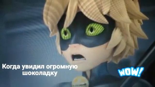 Когда увидил огромную шоколадку