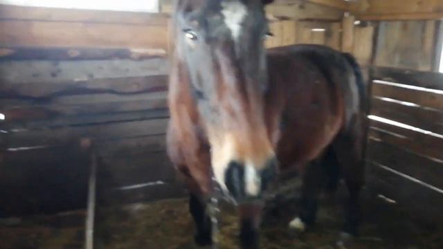 Я принял решение, первого февраля удаляю свой Ютуб канал . смотреть онлайн