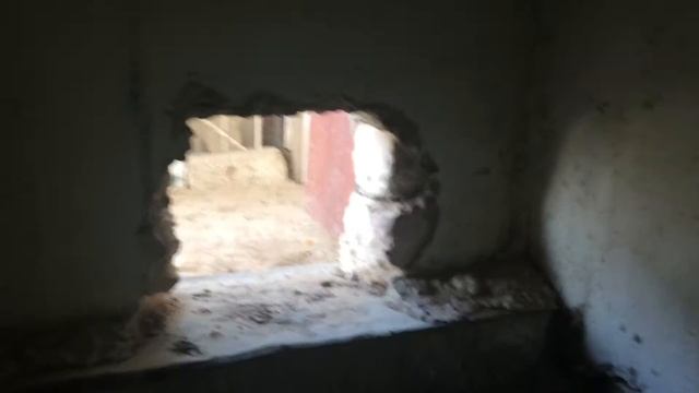 Разведение кур у себя в подворье смотреть онлайн