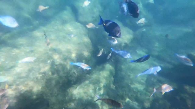 THE BEST THINGS TO DO IN & AROUND AKUMAL, MEXICO - 4K Travel Guide смотреть онлайн