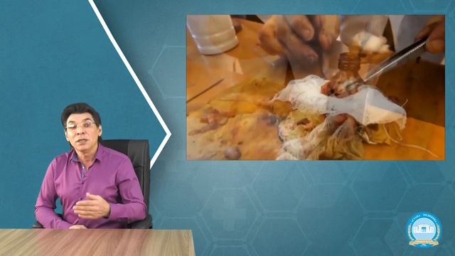 Биоэлектрические явления в возбудимых тканях Потенциал покоя Потенциал действия Физиология