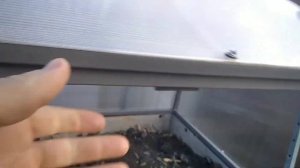 Парник из поликарбоната на компосте. Парник для огурцов