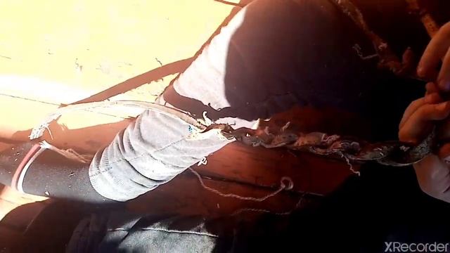 Как сделать, Приспособление для пастьбы коров,которое называется( Бич). смотреть онлайн