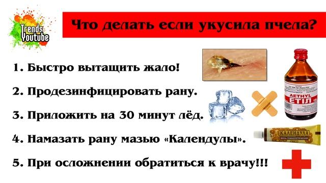 Секреты Творческой Реализации