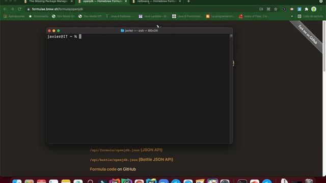 Instalación de jdk 16 (openjdk) y Netbeans 12.4 en MAC usando Homebrew смотреть онлайн
