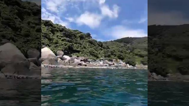 Ко Тао, Наньюань. смотреть онлайн