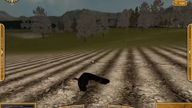 Bird Hunter 2003:Hunting Fleeing Turkeys смотреть онлайн